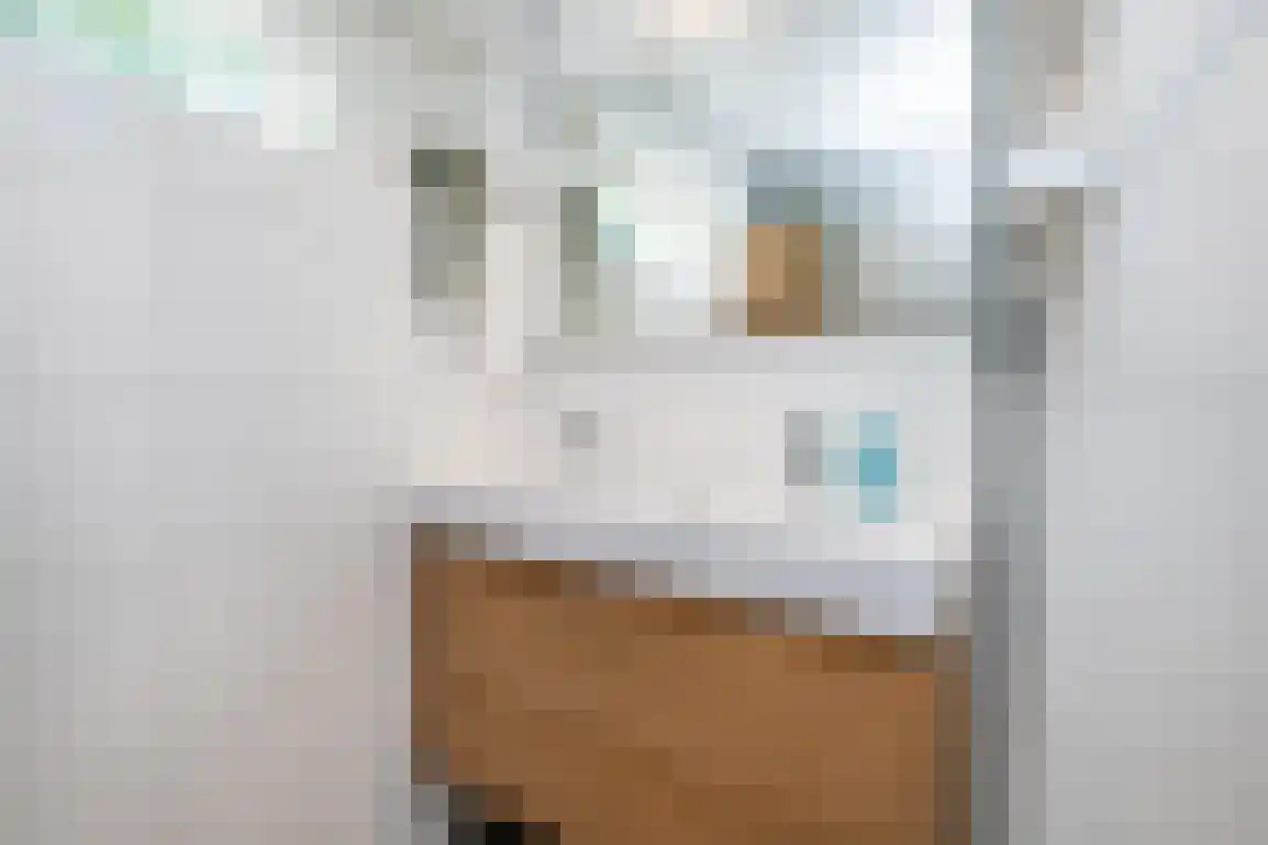 Braamstove 14 Ouddorp thumbnail 30