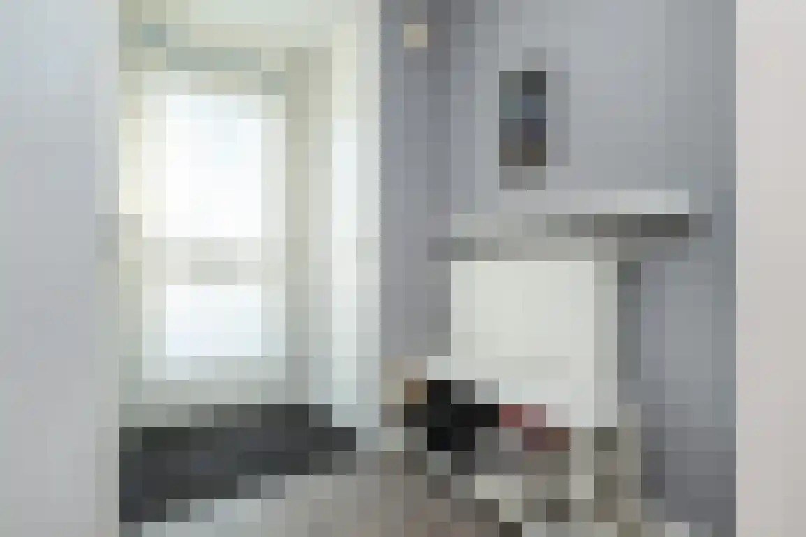 Braamstove 14 Ouddorp thumbnail 6