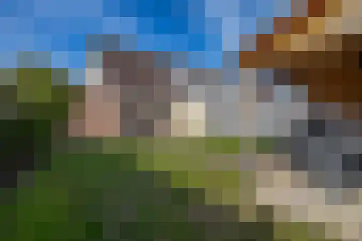 Braamstove 19 Ouddorp thumbnail 42