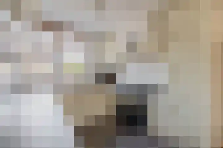 Braamstove 19 Ouddorp thumbnail 7