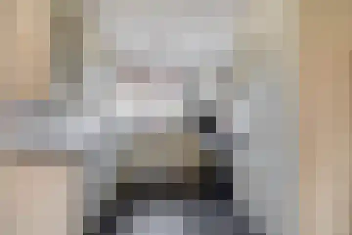 Braamstove 19 Ouddorp thumbnail 9