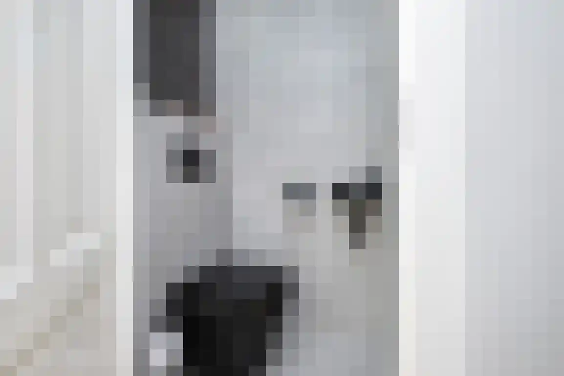 Braamstove 24 Ouddorp thumbnail 10