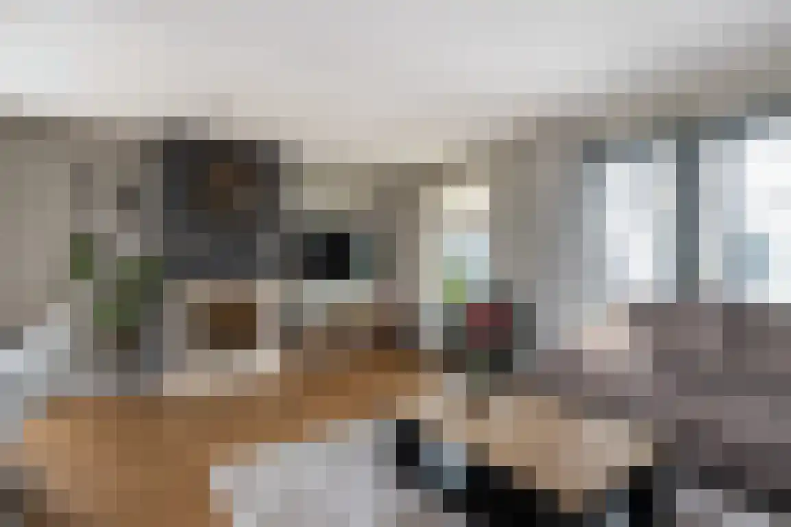 Braamstove 24 Ouddorp thumbnail 12