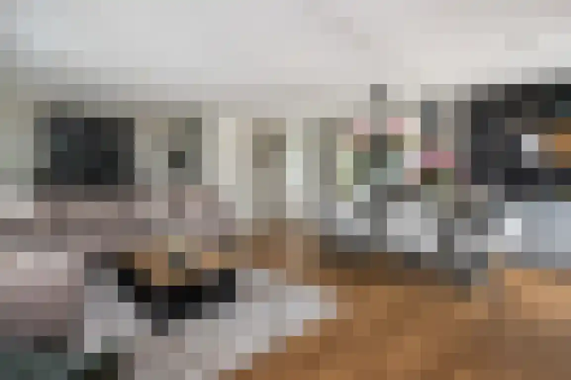 Braamstove 24 Ouddorp thumbnail 13