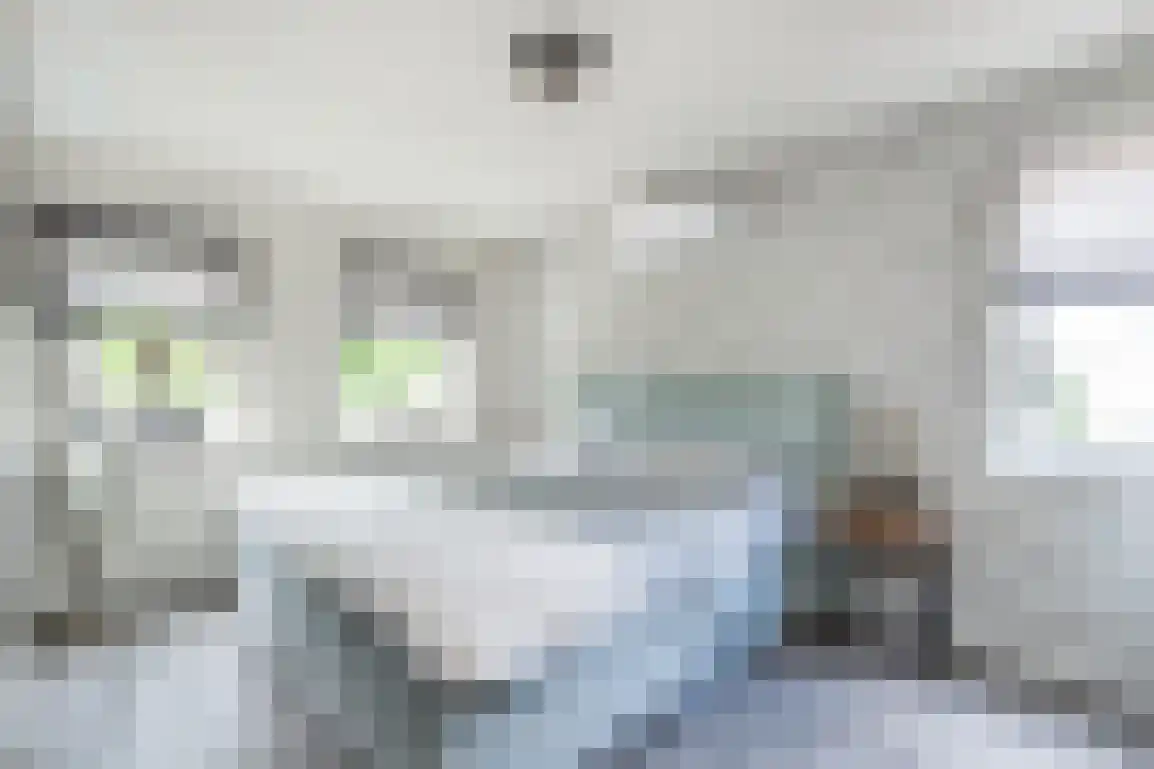 Braamstove 24 Ouddorp thumbnail 23