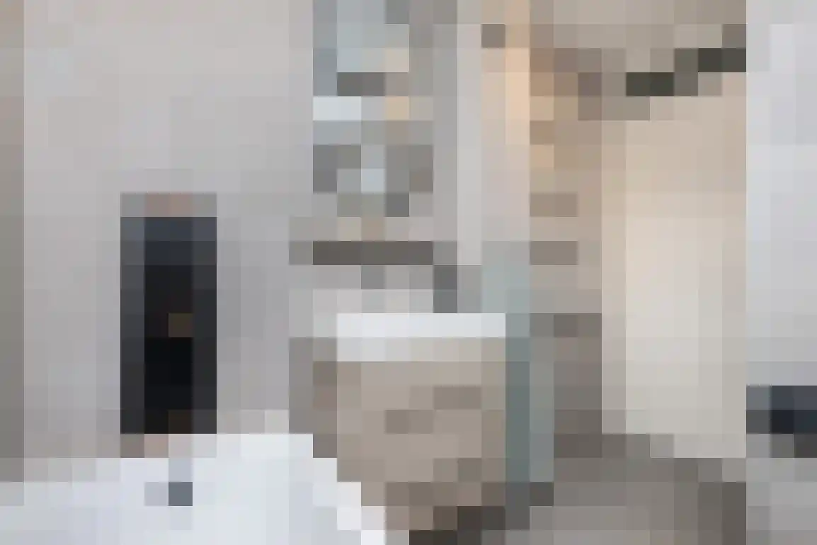 Braamstove 24 Ouddorp thumbnail 28