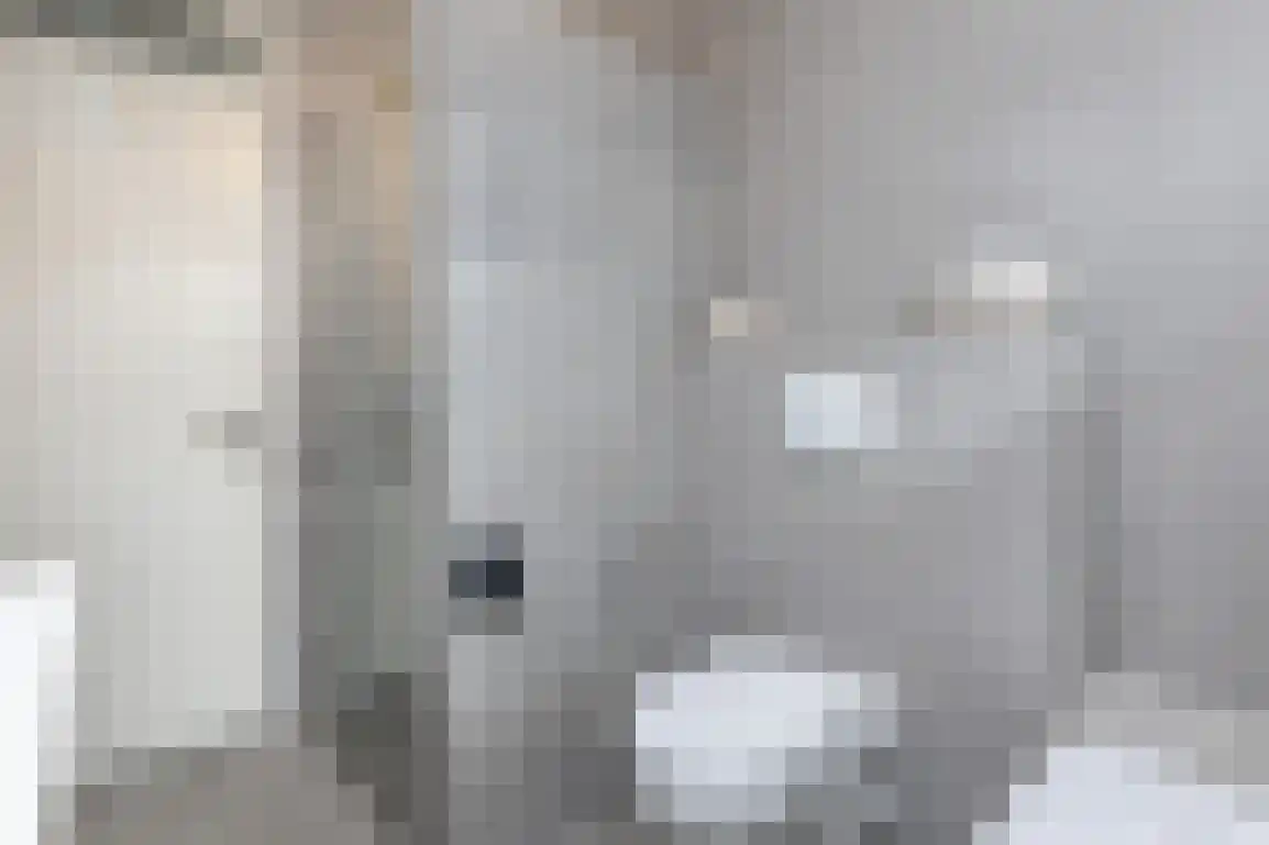 Braamstove 24 Ouddorp thumbnail 33