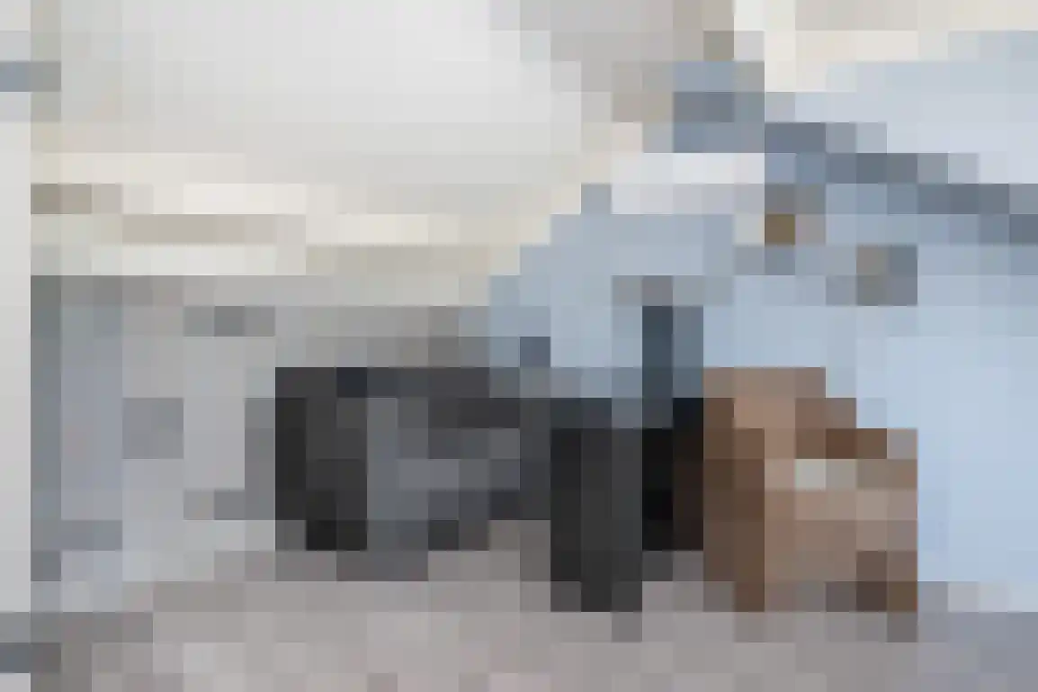 Braamstove 24 Ouddorp thumbnail 37