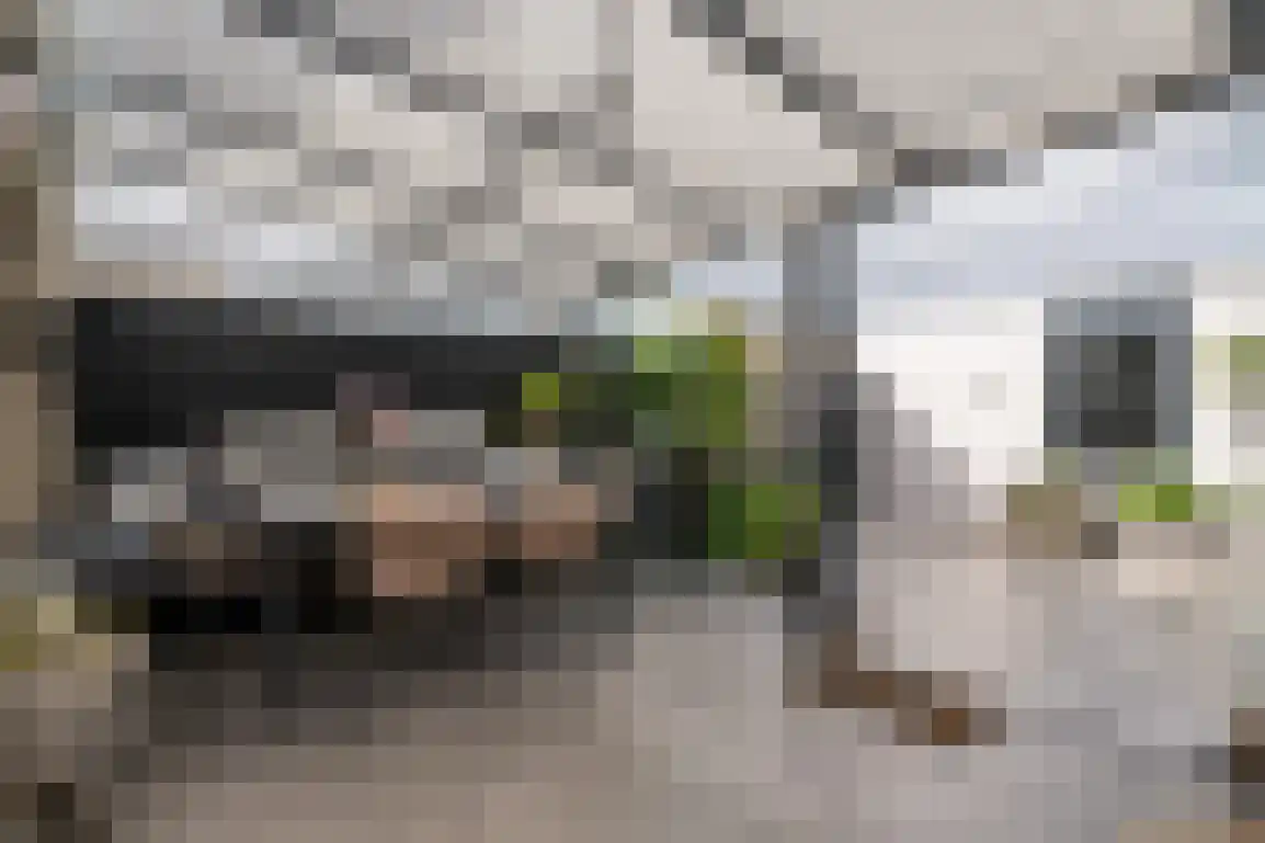 Braamstove 24 Ouddorp thumbnail 43