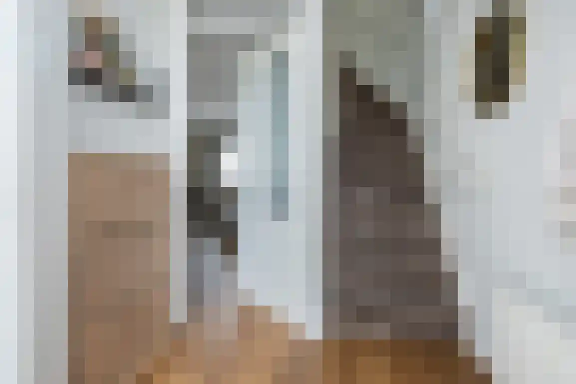 Braamstove 24 Ouddorp thumbnail 9