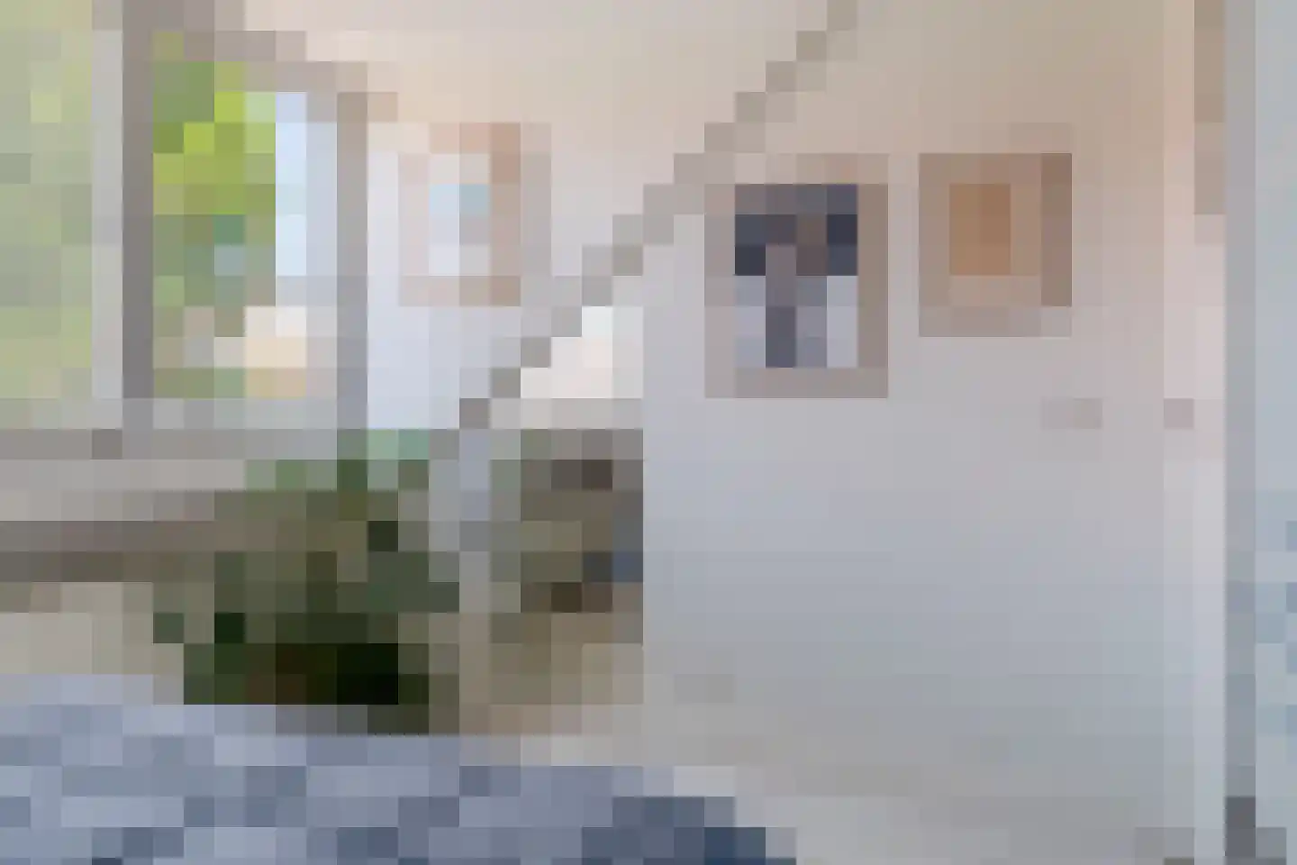 Braamstraat 27 Monster thumbnail 16