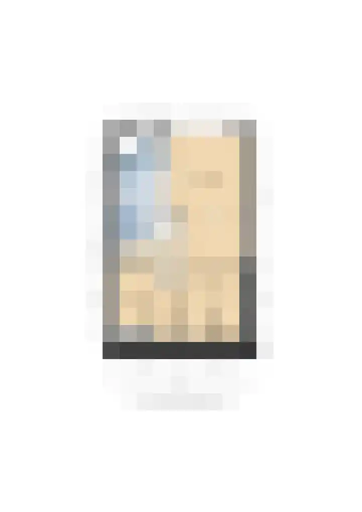 Braamstraat 32 Oost-Souburg thumbnail 33