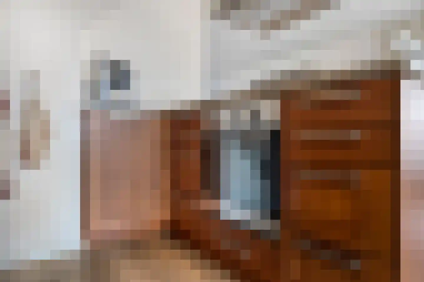 Braamstraat 5 Nistelrode thumbnail 20