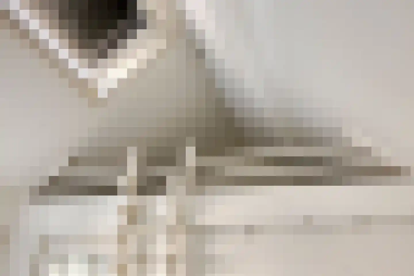 Braamstraat 5 Nistelrode thumbnail 27
