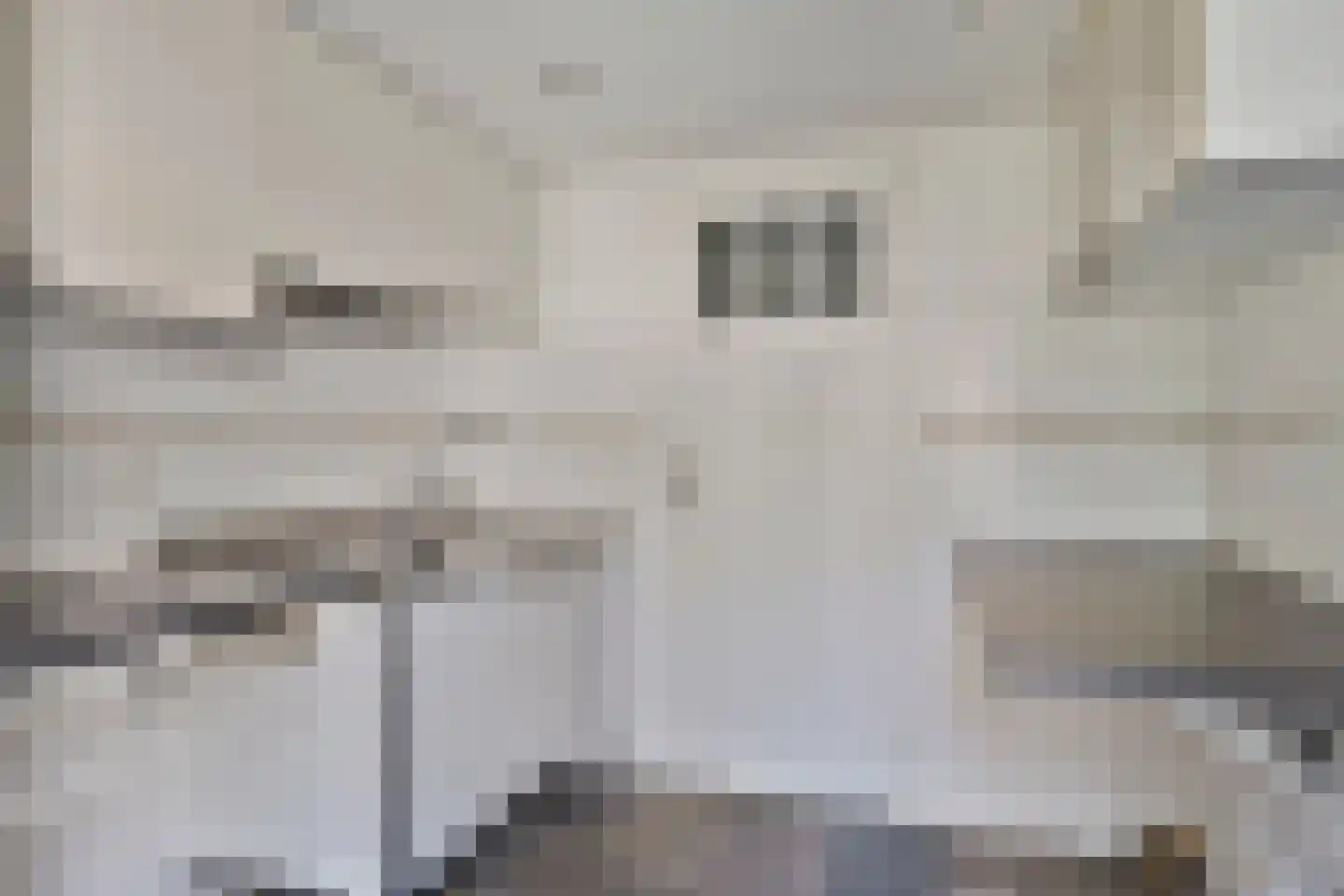 Braamstraat 5 Nistelrode thumbnail 29