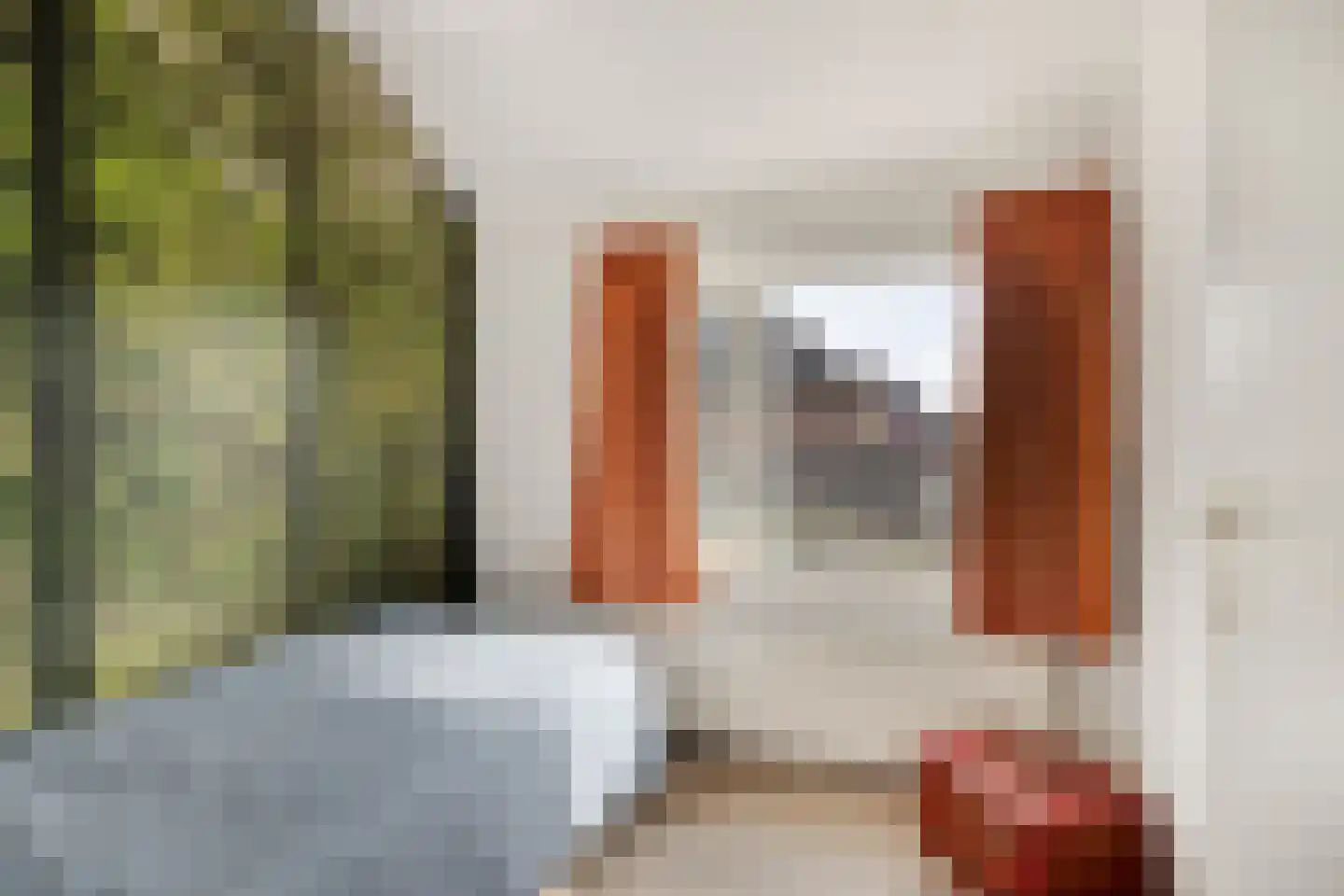 Braamstraat 5 Nistelrode thumbnail 41
