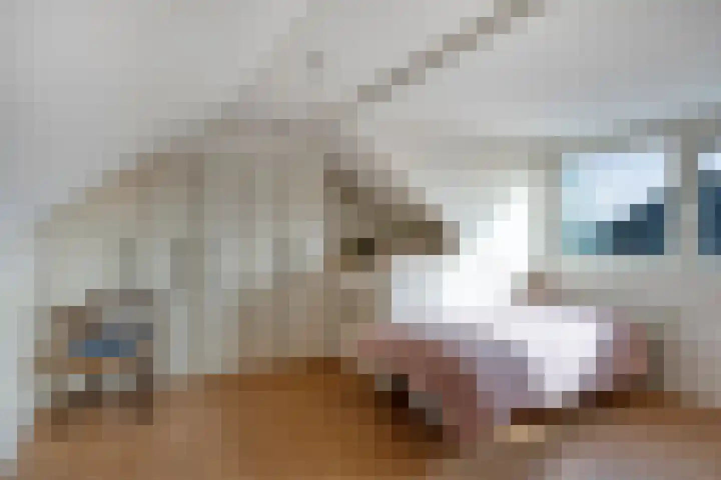 Braamstraat 5 Nistelrode thumbnail 43