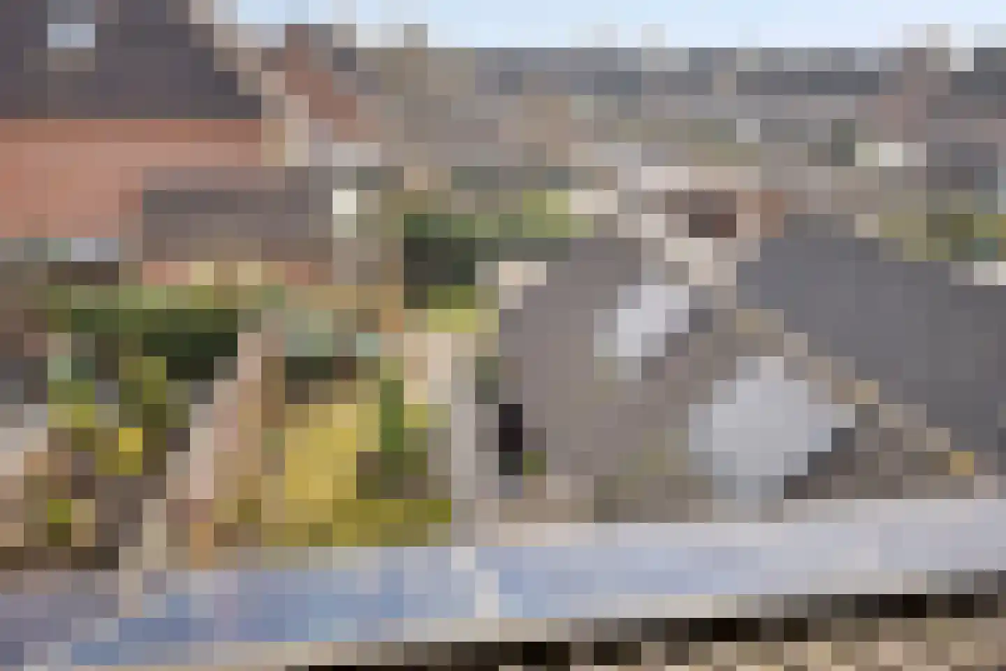 Braamstraat 5 Nistelrode thumbnail 47