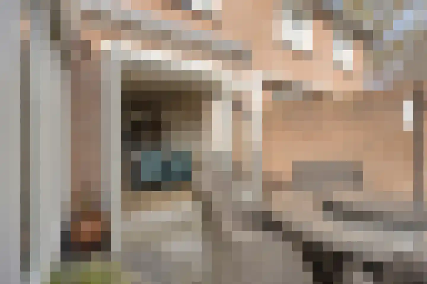 Braamstraat 5 Nistelrode thumbnail 48