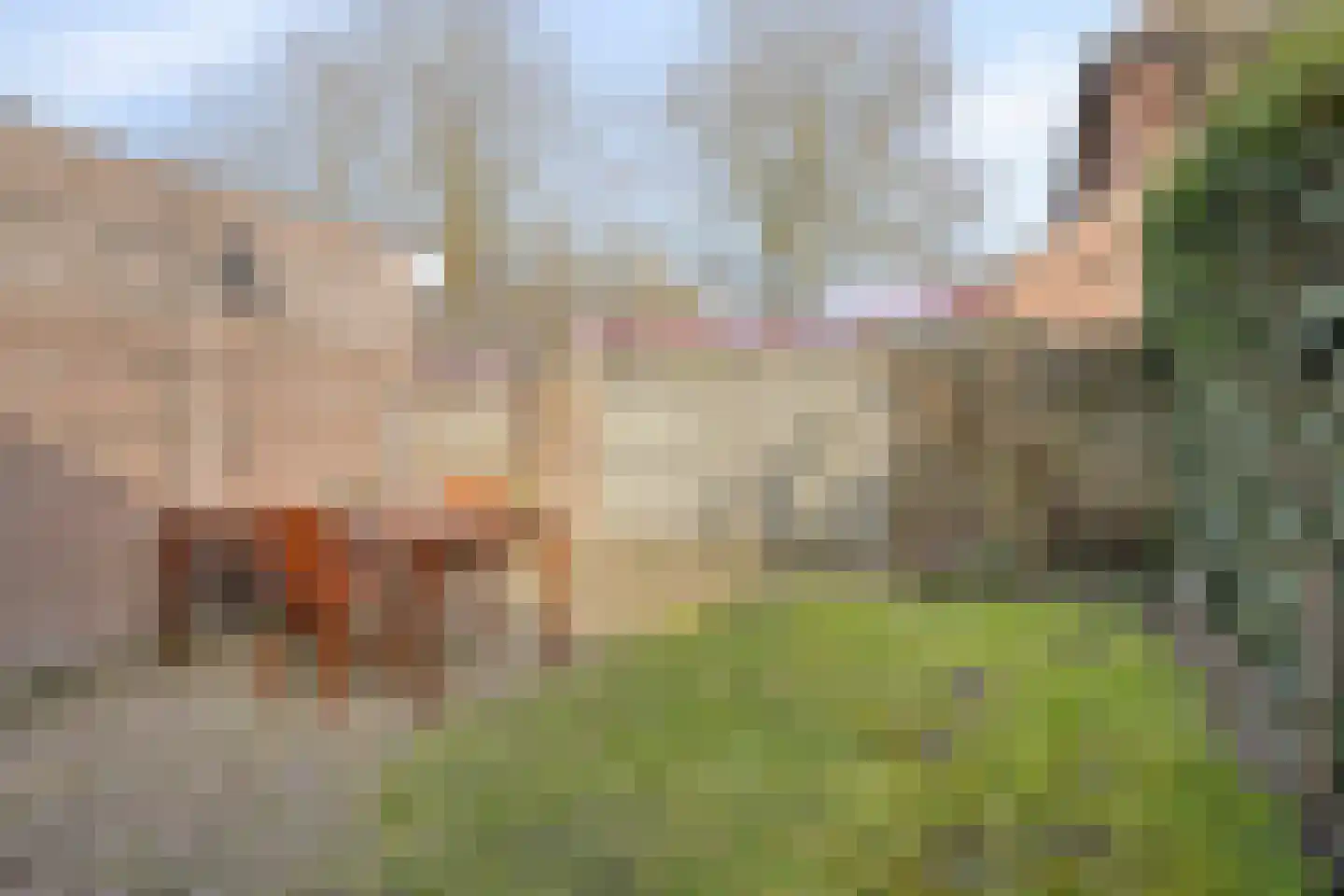 Braamstraat 5 Nistelrode thumbnail 53