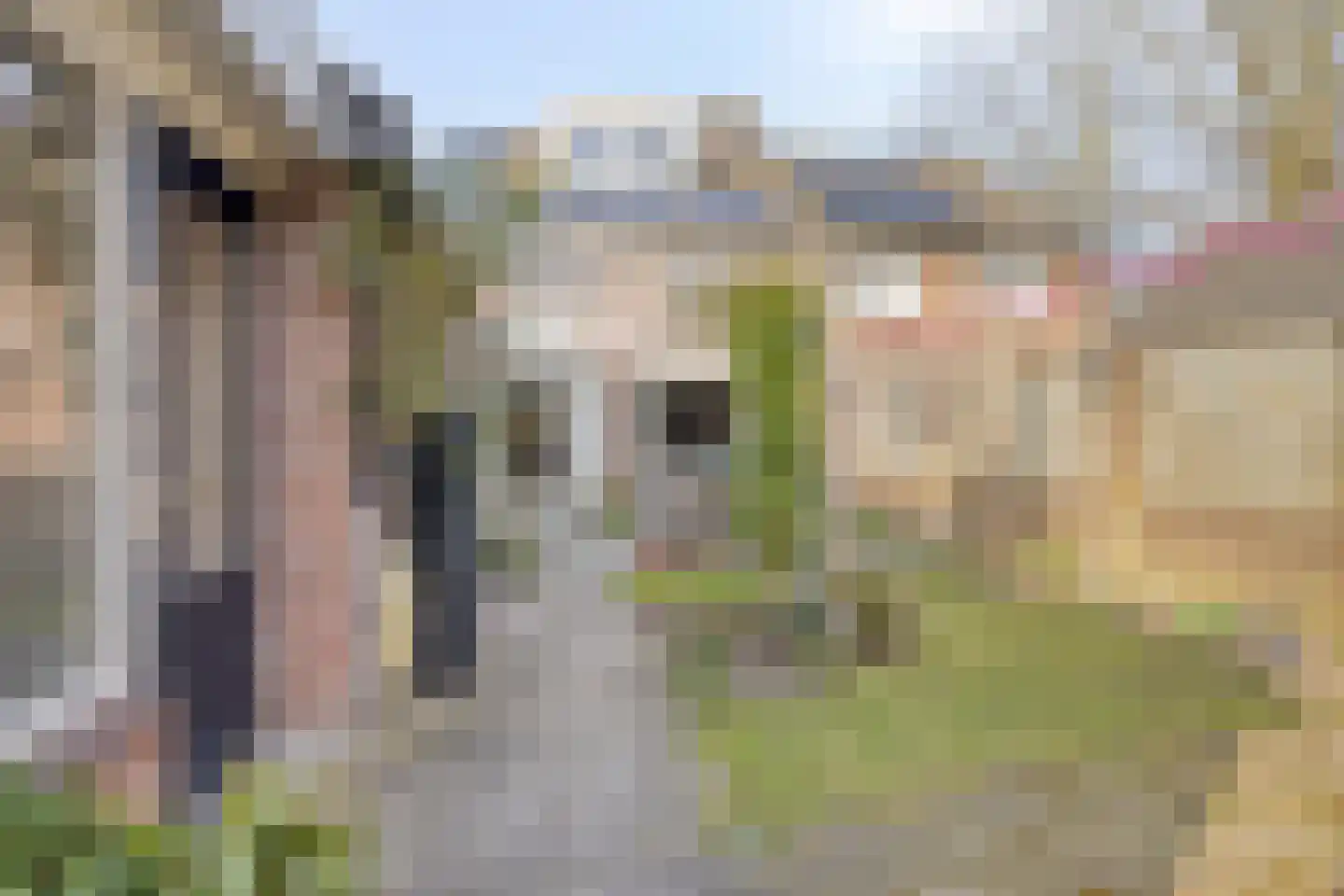 Braamstraat 5 Nistelrode thumbnail 55