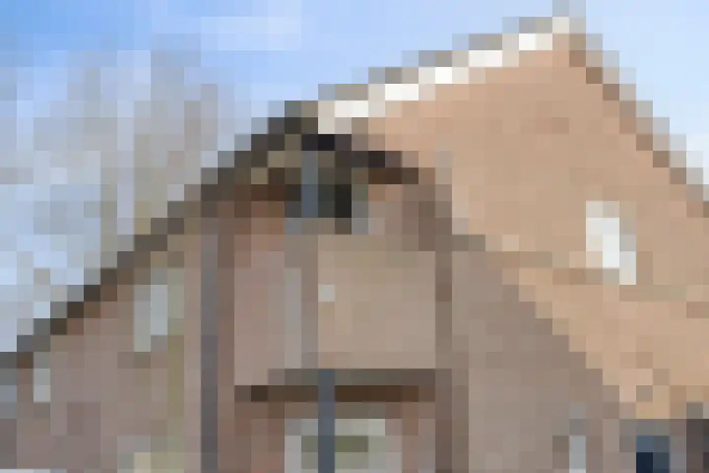 Braamstraat 5 Nistelrode thumbnail 7