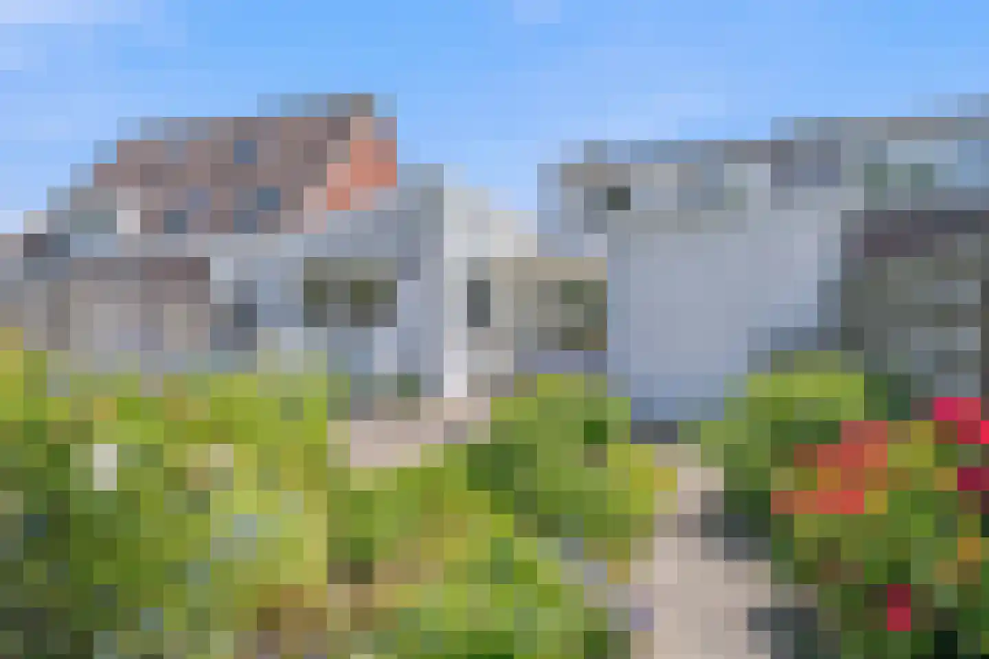 Braamstraat 6 Oost-Souburg thumbnail 24