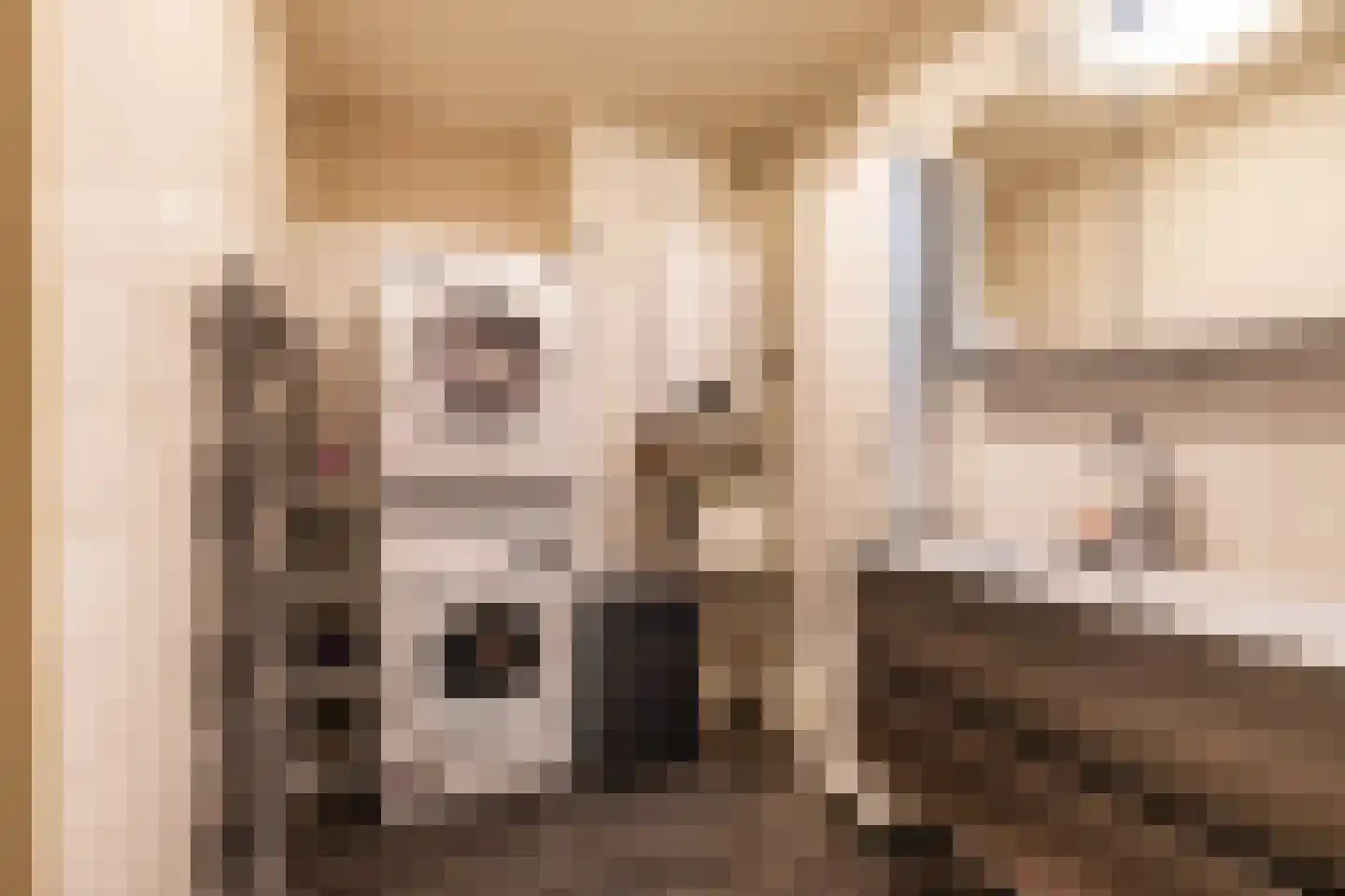 Braamstukken 106 Eelde thumbnail 31