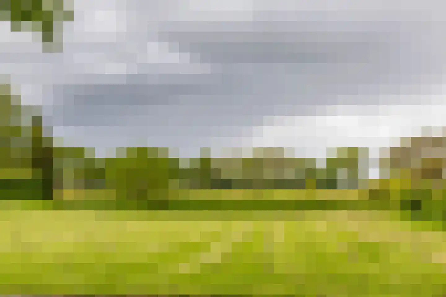 Braamstukken 106 Eelde thumbnail 37