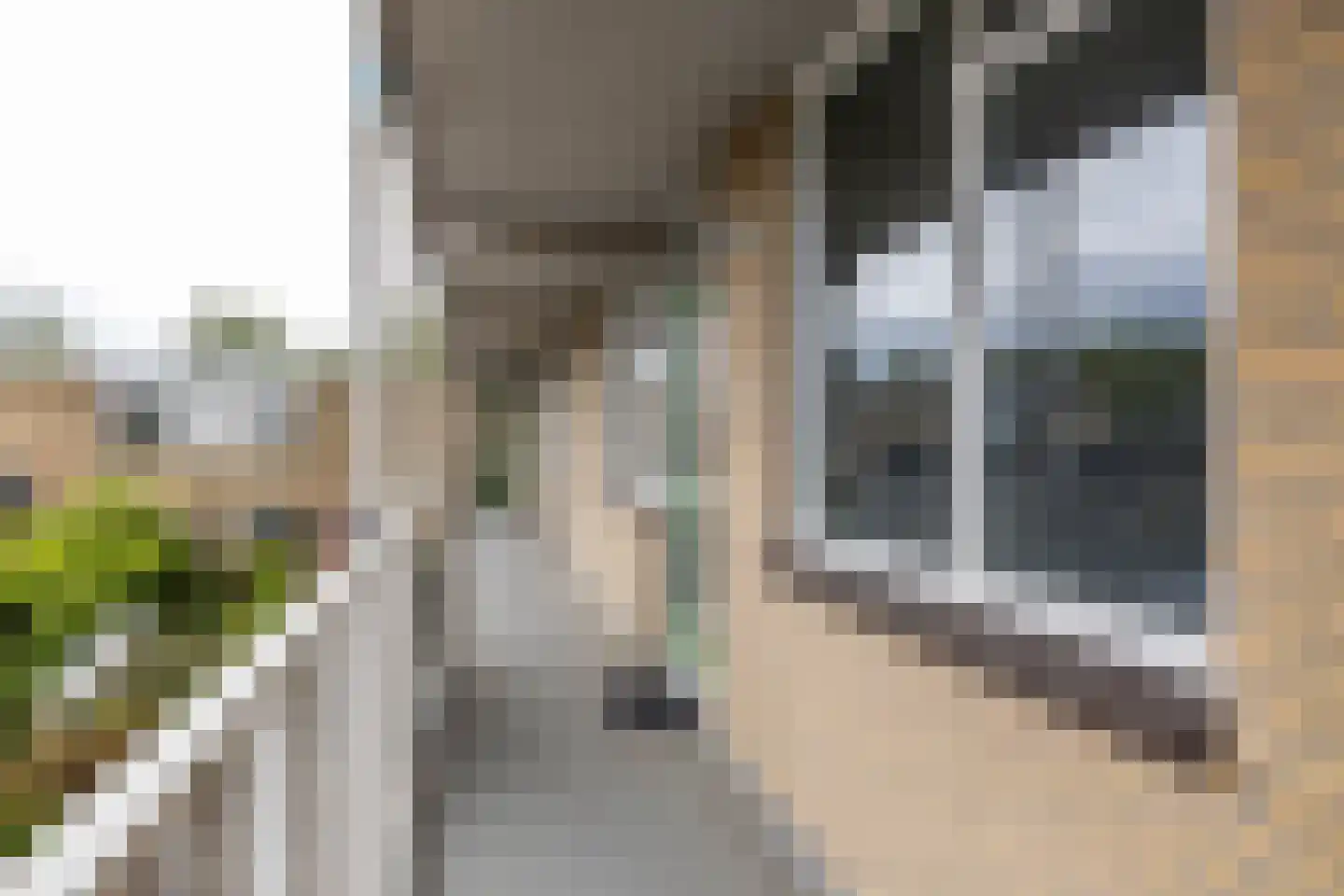 Braamstukken 106 Eelde thumbnail 8