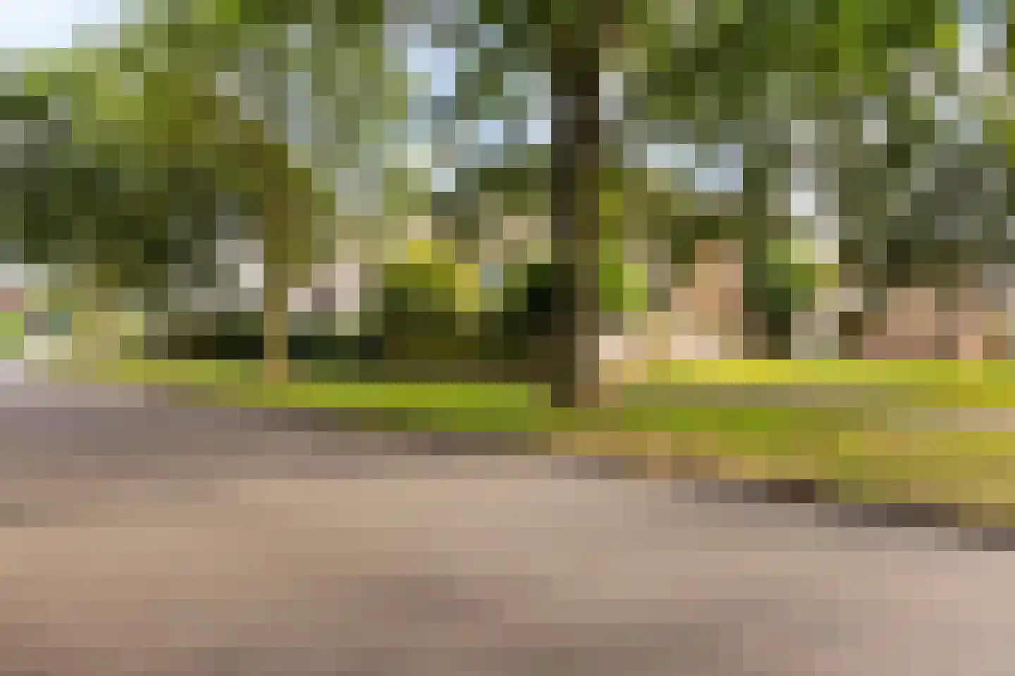 Braamstukken 112 Eelde thumbnail 33