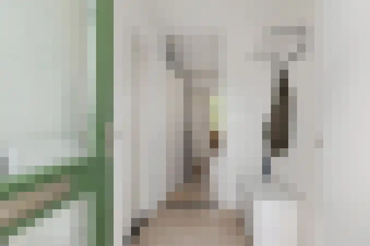 Braamstukken 112 Eelde thumbnail 9