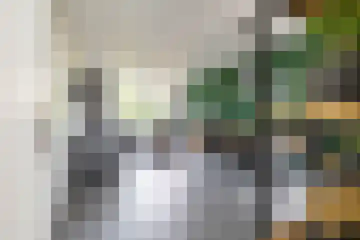 Braamstukken 118 Eelde thumbnail 14
