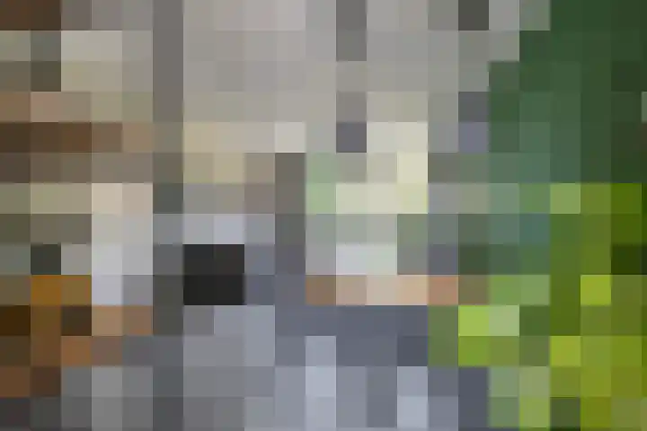 Braamstukken 118 Eelde thumbnail 15