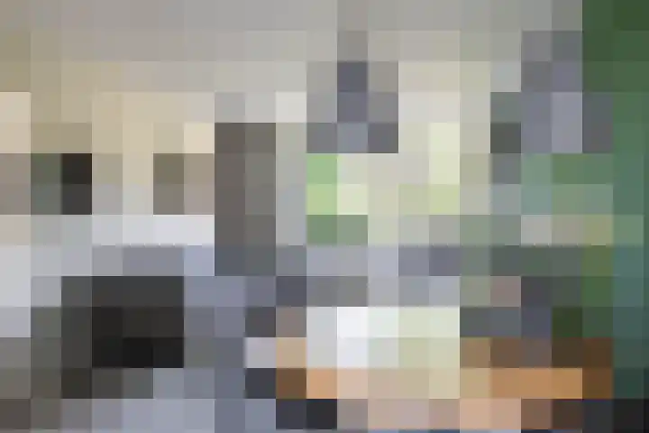 Braamstukken 118 Eelde thumbnail 16