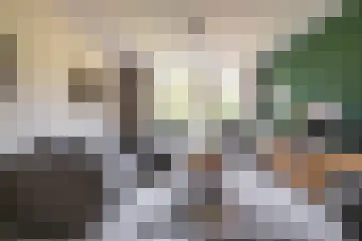 Braamstukken 118 Eelde thumbnail 17