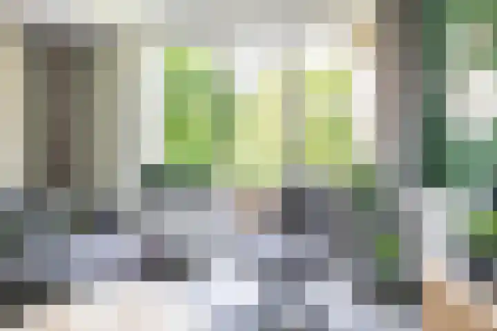 Braamstukken 118 Eelde thumbnail 18