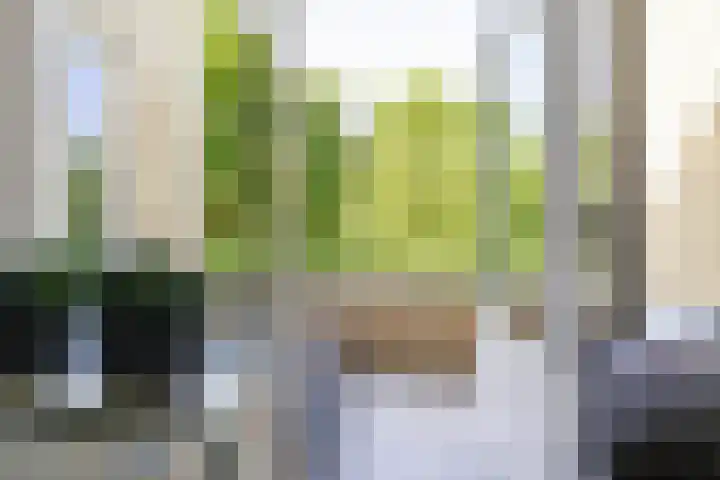 Braamstukken 118 Eelde thumbnail 19