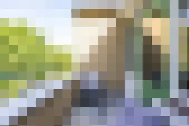Braamstukken 118 Eelde thumbnail 21