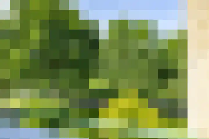 Braamstukken 118 Eelde thumbnail 22