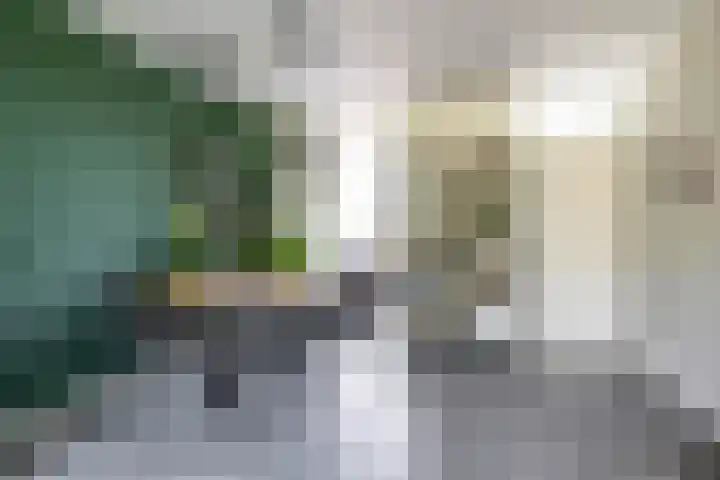 Braamstukken 118 Eelde thumbnail 25