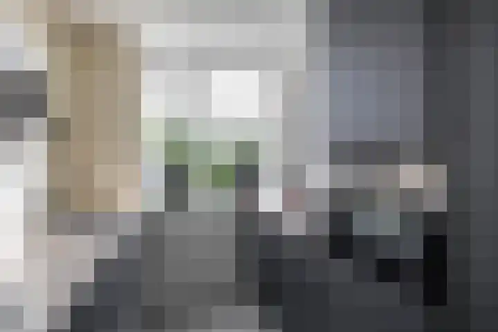 Braamstukken 118 Eelde thumbnail 27