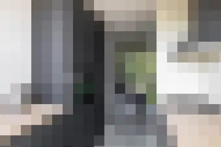 Braamstukken 118 Eelde thumbnail 29