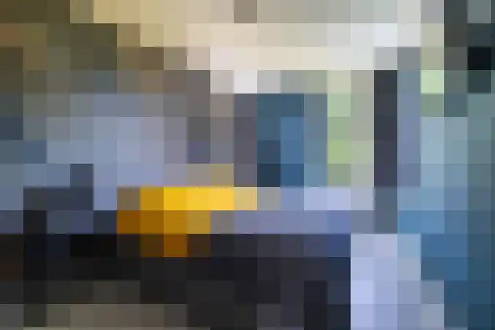 Braamstukken 118 Eelde thumbnail 36