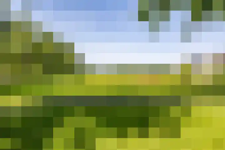 Braamstukken 118 Eelde thumbnail 39