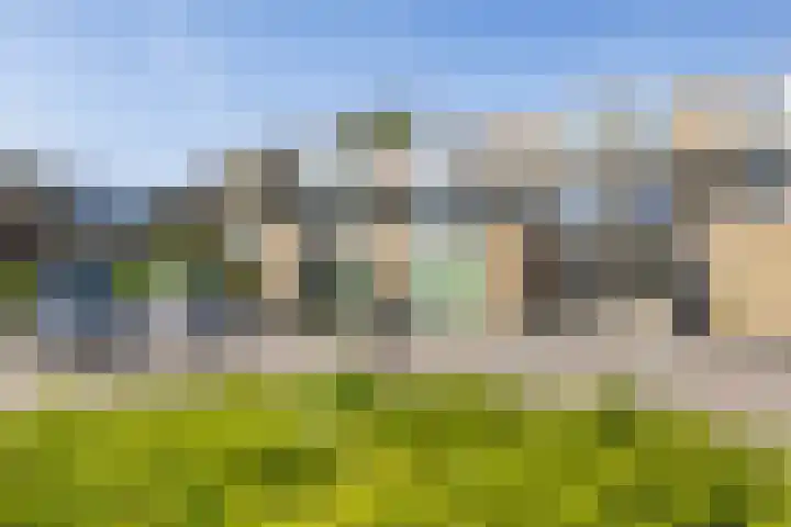 Braamstukken 118 Eelde thumbnail 42