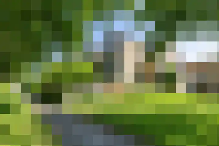 Braamstukken 118 Eelde thumbnail 46