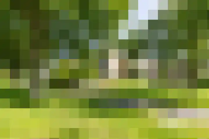 Braamstukken 118 Eelde thumbnail 5