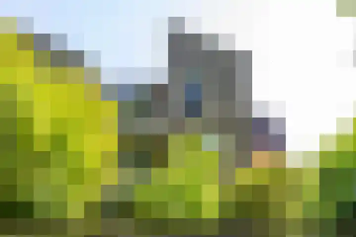 Braamstukken 118 Eelde thumbnail 6