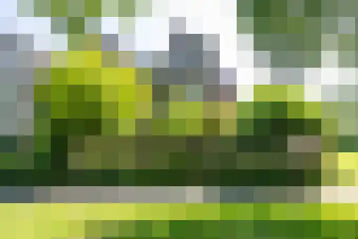 Braamstukken 118 Eelde thumbnail 8